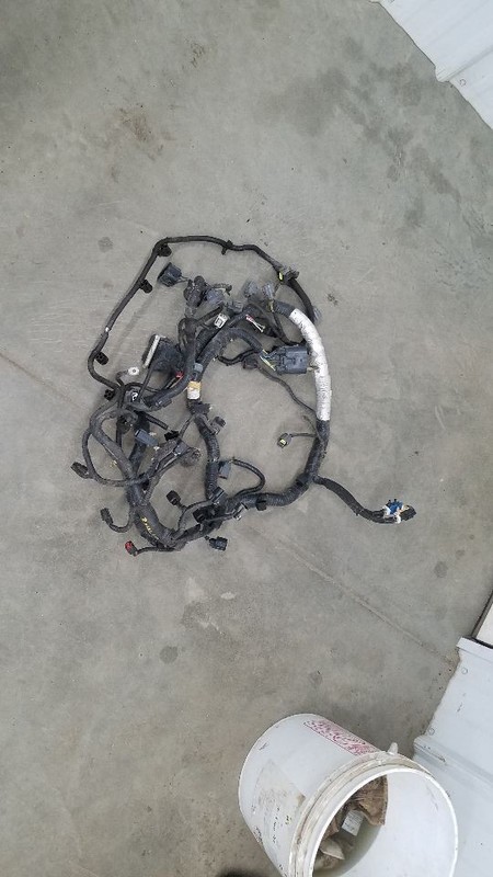 FUSION2007 Engine Wire Harness 307540