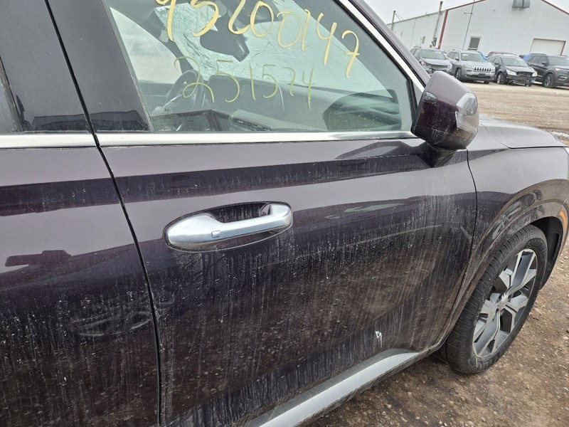 Passenger Right Front Door Without Acoustic Glass Fits 20-22 PALISADE 3621174