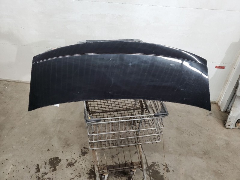 Trunk/Hatch/Tailgate Sedan 4 Door With Spoiler Fits 03-07 ION 290765