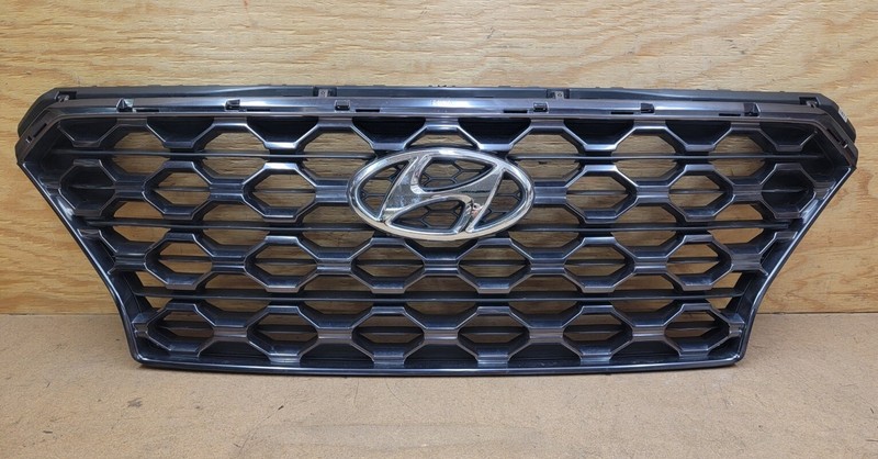 2019 2020 Hyundai Santa Fe Limited Front Bumper Grille W/Emblem 86366-S2100 OEM
