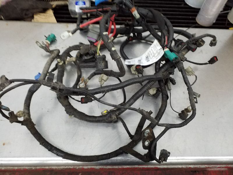 MOUNTNEER 2002 Engine Wire Harness 175705