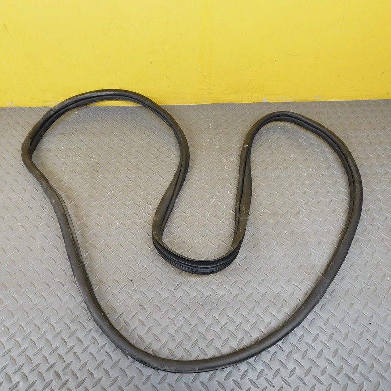 2024-2025 HYUNDAI SANTA FE FRONT LEFT SIDE DOOR BODY WEATHERSTRIP SEAL OEM