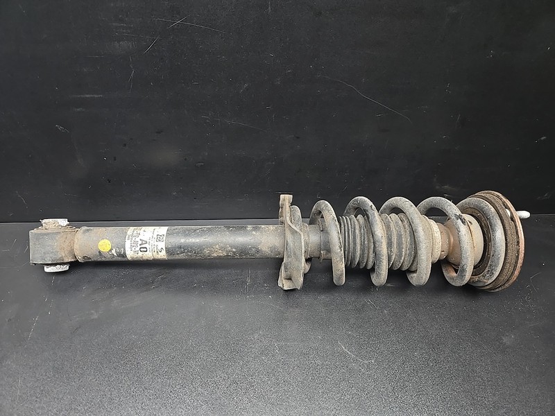 2014-2017 Acura RLX Rear Left Driver Strut Shock Absorber FWD OEM
