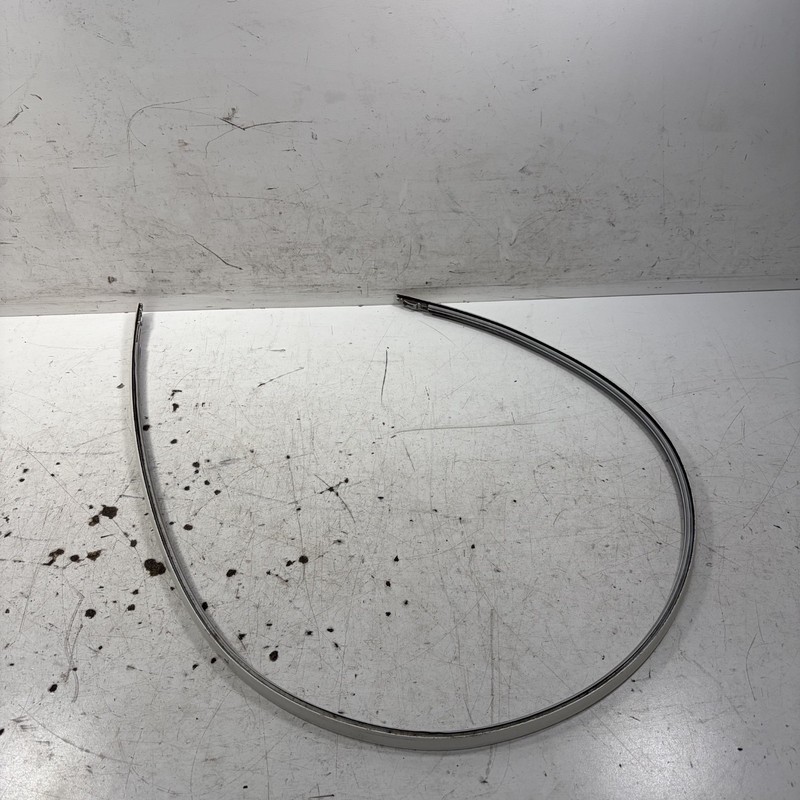 02-04 Acura RL Left Roof Molding White 74316-SZ3-J01ZN OEM