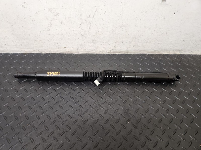 2025 BMW X3 Power Liftgate Strut OEM 51245A25C76