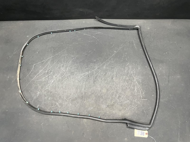 Rear Right Door Weatherstrip 2019 Dodge Charger 68040046AM 2014 2015 2016 - 2023