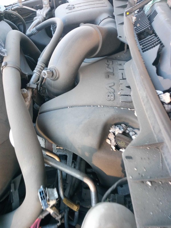 2018 RAM DODGE 1500 PICKUP Front Left Door Glass Grey OEM 148579 75K Miles