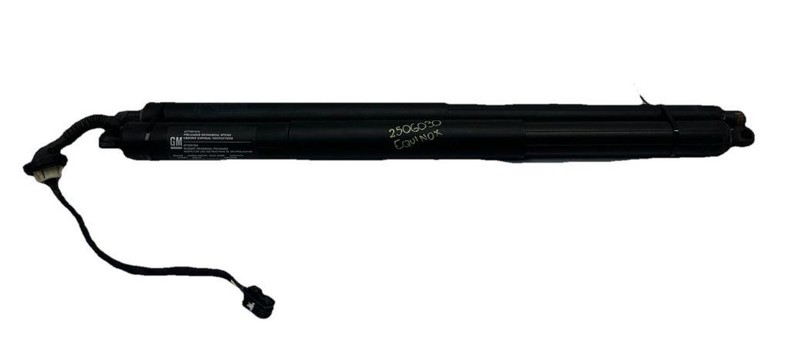 Chevy Equinox tailgate strutts 18 24 shocks supports pair complete OEM 815374475