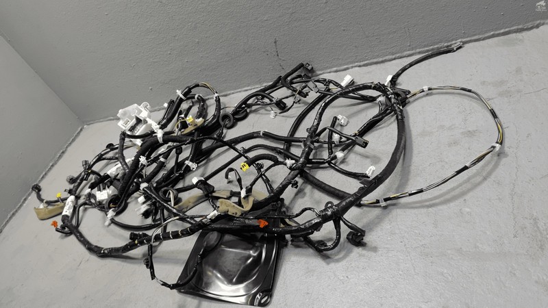 2019 Nissan Altima SL 2.5L FWD Left Driver Side Body Wire Wiring Harness OEM