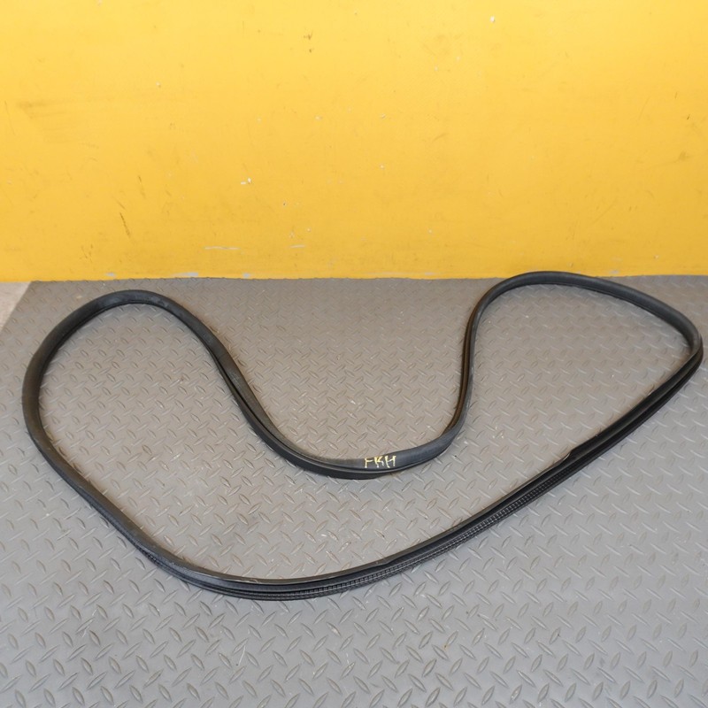 2022-2025 HONDA CIVIC FRONT RIGHT SIDE DOOR BODY WEATHERSTRIP INNER SEAL OEM