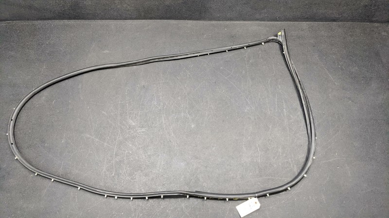 Right Passenger Front Door Weatherstrip DN1Z-7420530 2018 Ford EcoSport 19-2021
