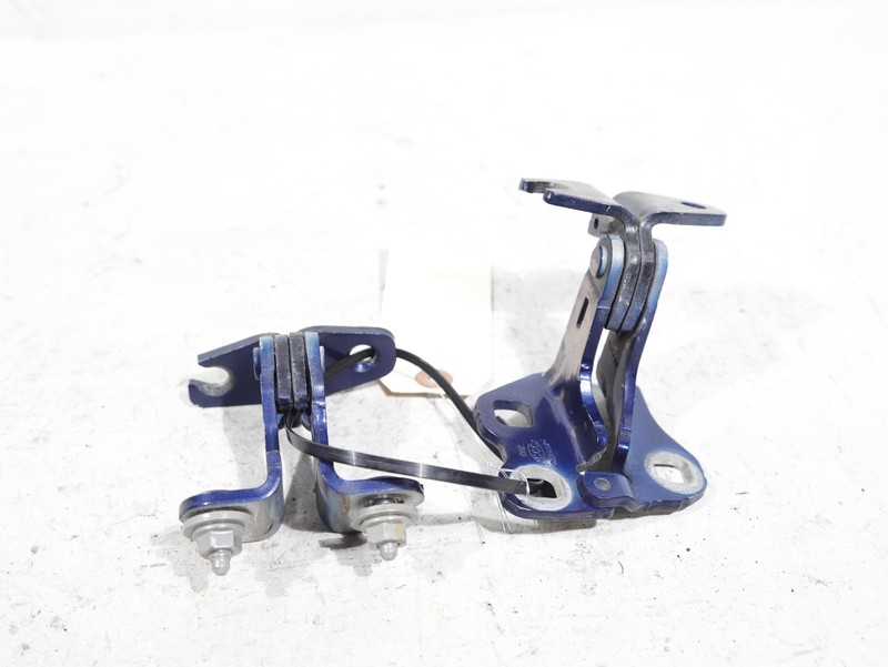 17-23 Tesla Model 3 RWD Rear Left Side Door Hinge Support Set of 2 Blue OEM 94K