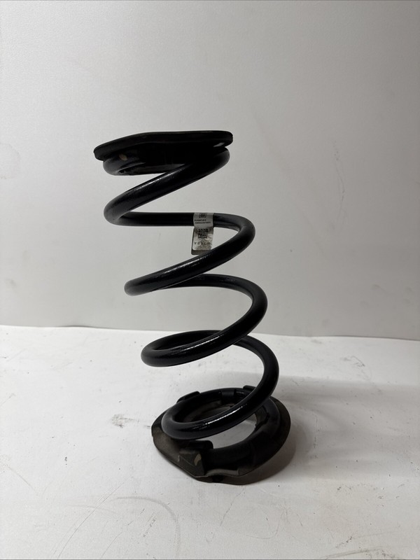 17-23 TESLA MODEL 3 RWD REAR RIGHT OR LEFT SIDE COIL SPRING 104447201 N-8166 S15