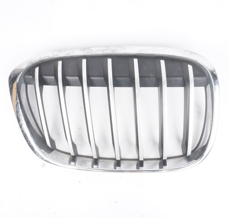 2016 - 2022 BMW X1 F48 Front Right Passenger Side Radiator Kidney Grille OEM