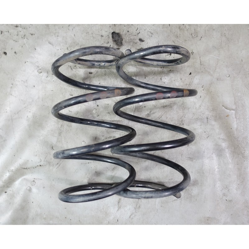 BMW E64 6-Series Factory Front Axle Coil Spring Pair Left Right 2004-2010 OEM