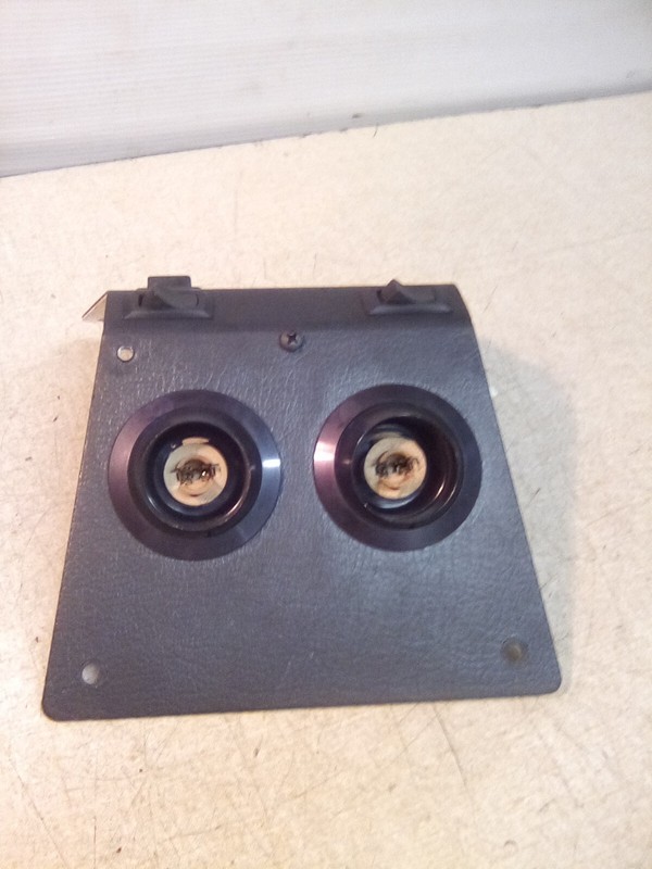 1999 Kenworth W900 K176-6556-25 Light Assembly Panel