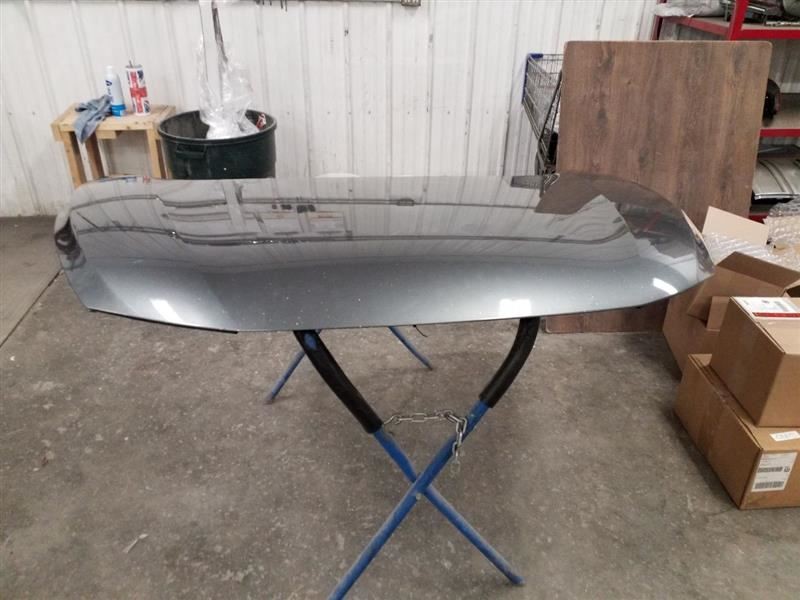 Hood Fits 15-20 MURANO 3234089