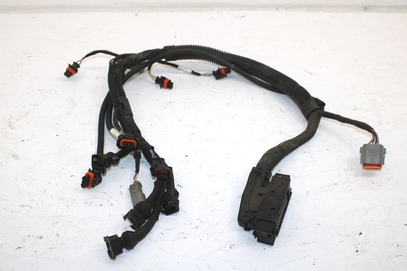 Ski-doo Oem Engine Wiring Harness 420664317 B121