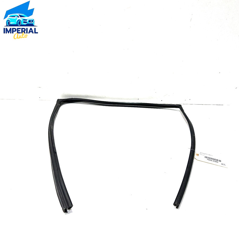 2018 - 2023 TOYOTA CAMRY REAR PASSENGER SIDE WINDOW GLASS RUN CHANNEL SEAL OEM