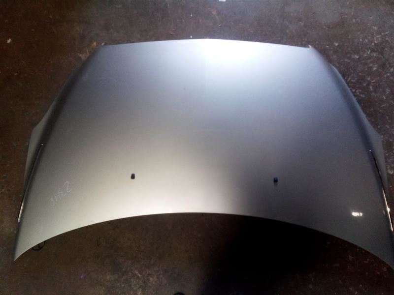 08-12 Buick Enclave Hood Assembly Gold (U994L) OEM 22807863