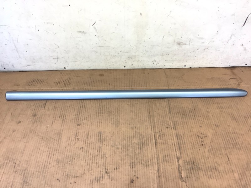 99-04 Odyssey Right Front Side Protector Door Panel Molding Garnish Trim OEM
