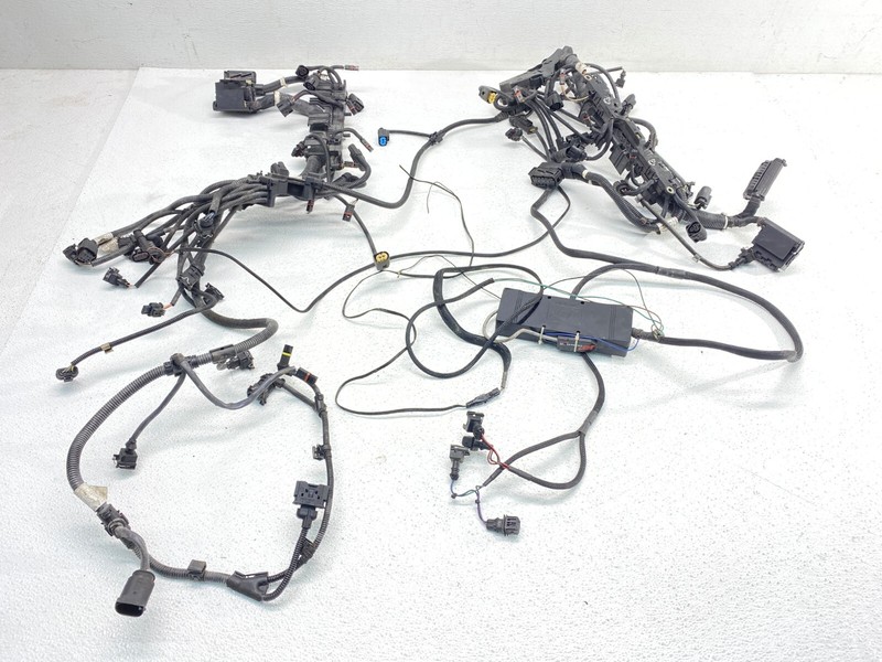 12-18 BMW F10 F12 M5 M6 S63 Left & Right Engine Valvetronic Wire Harness Set OEM