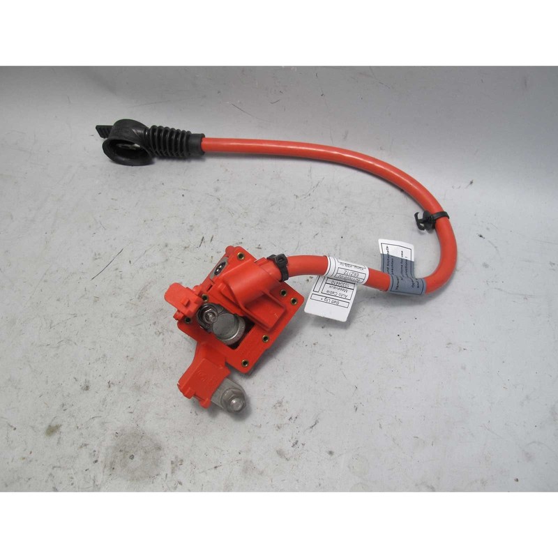 2010-2017 BMW F10 5-Series F12 F13 6-Series Positive Battery Cable Fuse OEM