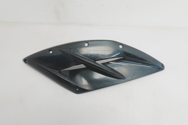 2007-2011 Sea-Doo OEM Right Side Grill Panel 273000231 RXP 215 155 X 255