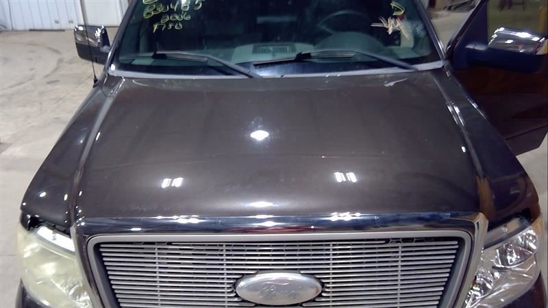 Hood Fits 04-08 FORD F150 PICKUP 3164950