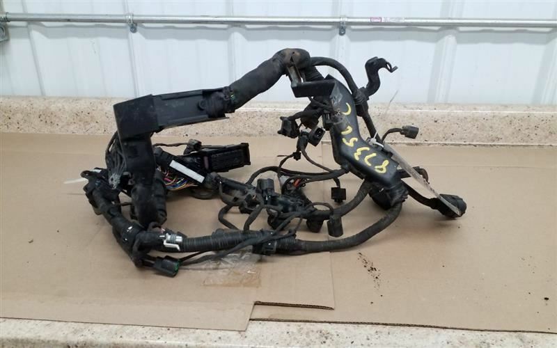 RONDO 2009 Engine Wire Harness 216435