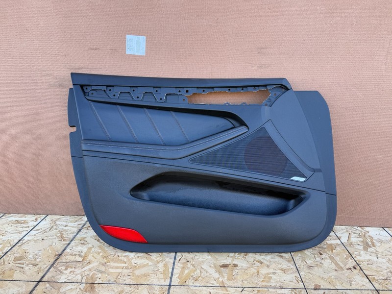 GENESIS G80 2017-2020 OEM FRONT LEFT DRIVER DOOR PANEL ASSEMBLY (BLACK)