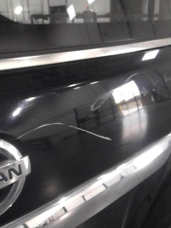 Used Deck Lid fits: 2014 Nissan Quest manual lift w/rear view monitor SV Grade A