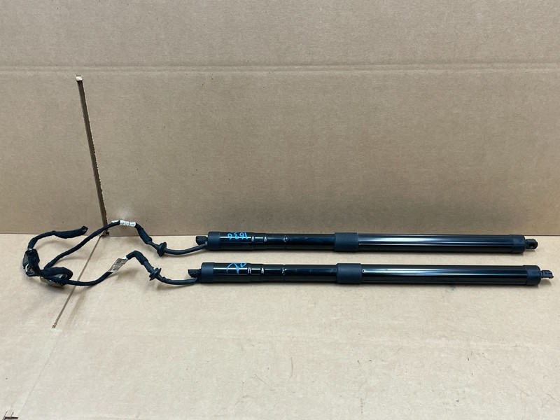 18 19 20 Land Range Rover L405 Trunk Lid Tailgate Cylinder Strut Set 1636 OEM