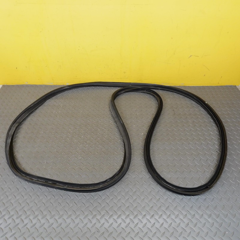 2022-2025 HYUNDAI IONIQ 5 TAILGATE LIFTGATE BACK DOOR BODY WEATHERSTRIP SEAL OEM