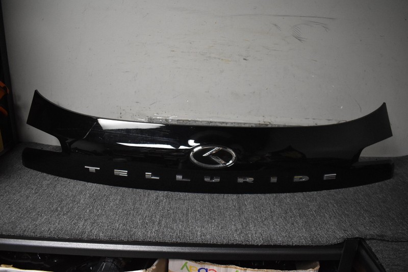 2020-2021 KIA TELLURIDE EX FINISH MOLDING GARNISH FACTORY OEM