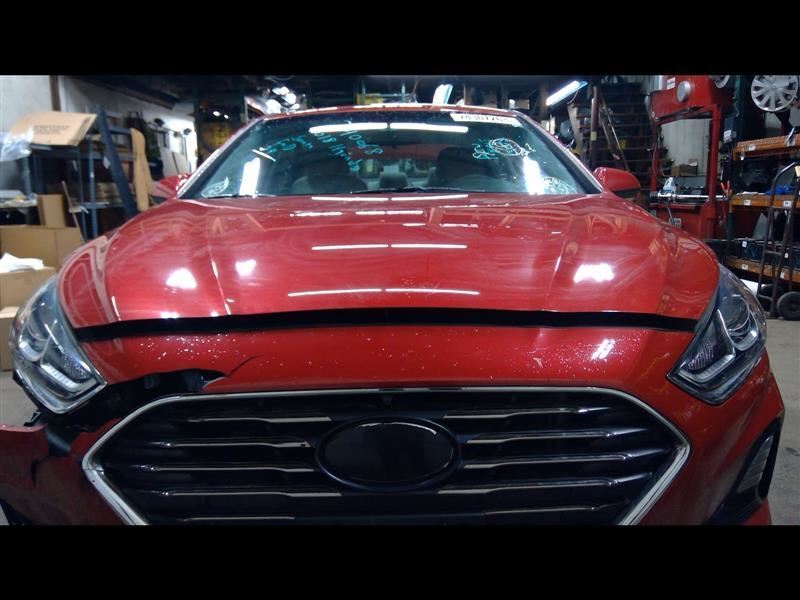Hood US Built Fits 18-19 SONATA 1308308