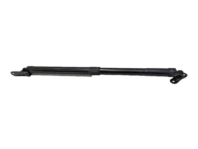 2019-2022 HONDA PILOT REAR PASSENER TAILGATE LIFTGATE LIFT CYLINDER STRUT OEM