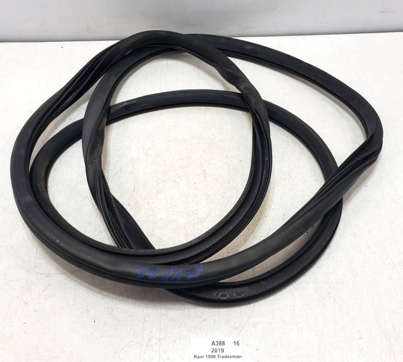 ✅ 2019-2024 OEM RAM 1500 Front Right Passenger Door Body Weatherstrip Seal