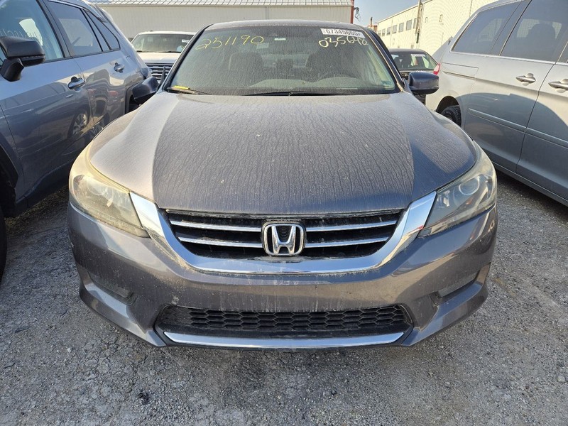 Hood Sedan Hood Struts Fits 13-15 ACCORD 3557789