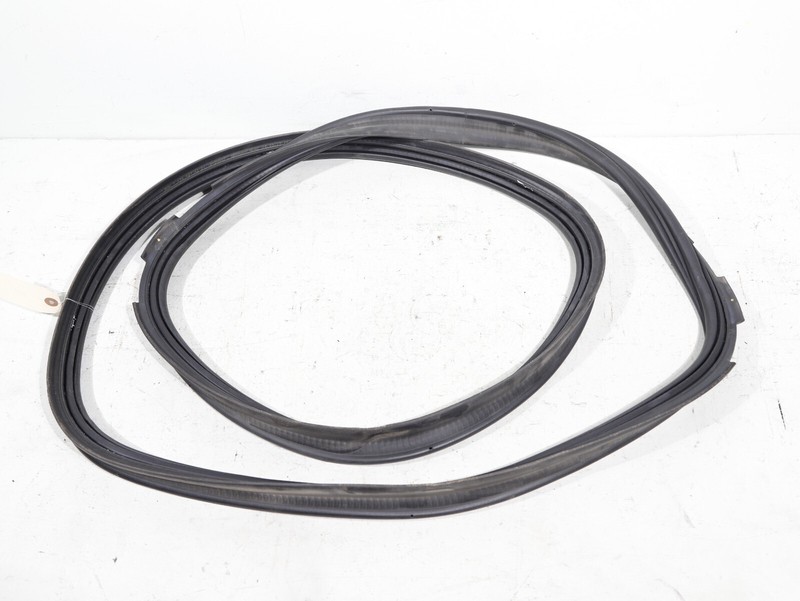 2016-2022 BMW X1 F48 TAILGATE LIFTGATE BACK DOOR BODY WEATHERSTRIP SEAL OEM