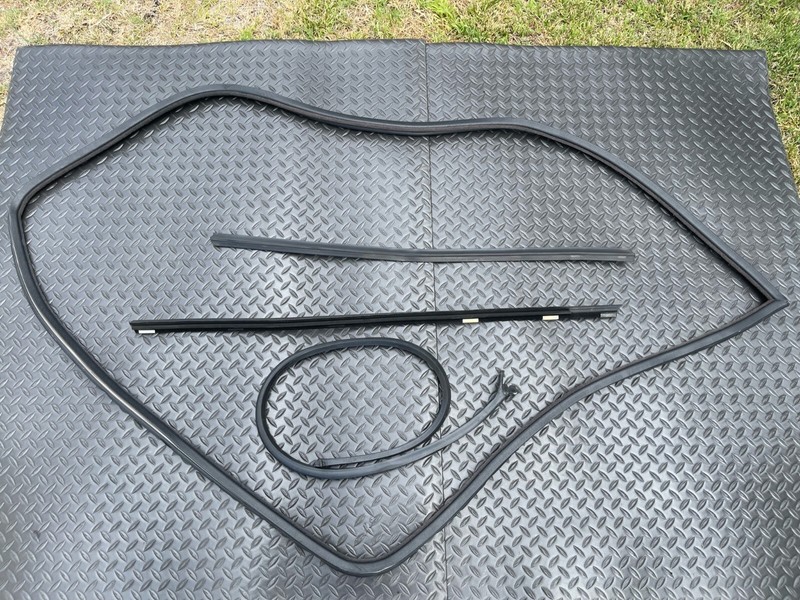84-91 BMW E30 M3 Coupe Edge Protection Weather-Strip Seal Driver Front Left OEM