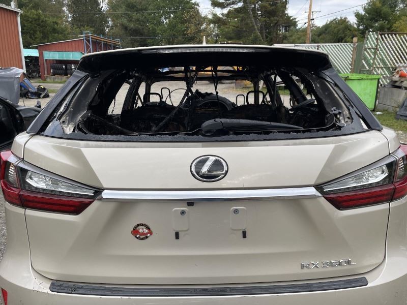 2016-2022 Lexus RX350 Tail Gate Gold Satin No Glass Top Smoked Clean Shell