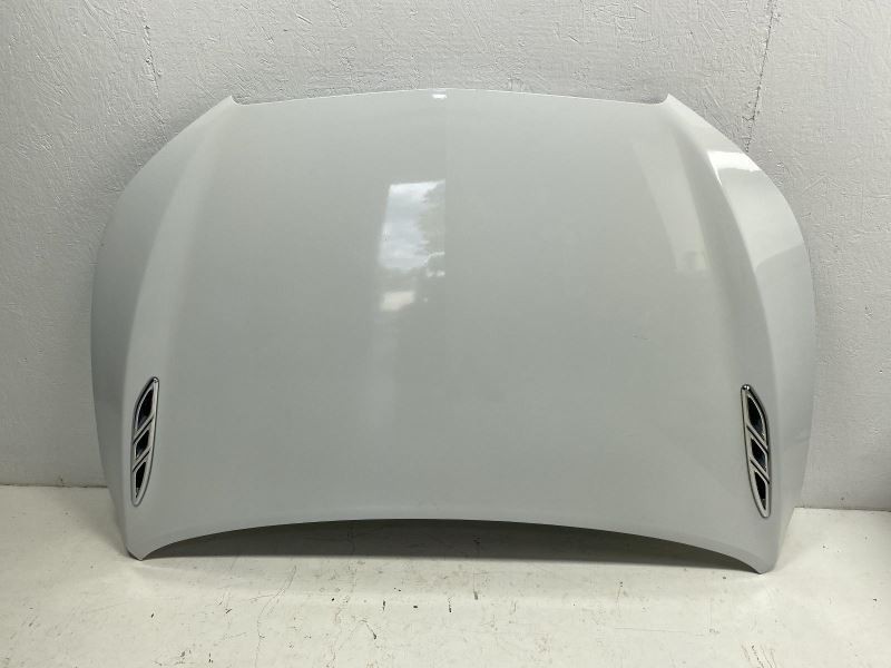 Hood White 20794194 Fits 2010-2013 Buick Lacrosse 84045 ***NO SHIPPING***