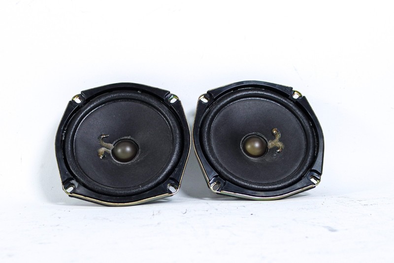 1997-2004 Chevy Corvette C5 Z06 OEM Bose Rear Speaker Set 10278959 *USED