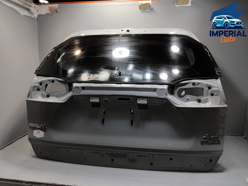 2019-2025 TOYOTA RAV4 REAR LIFTGATE TAILGATE SHELL PANEL W/ GLASS GRAY 6X3 OEM