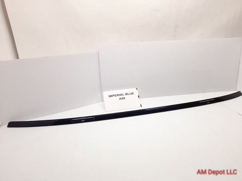 2013 BMW 320i 328i 335i 330i 340i F30 Left Driver Roof Molding Imperial Blue