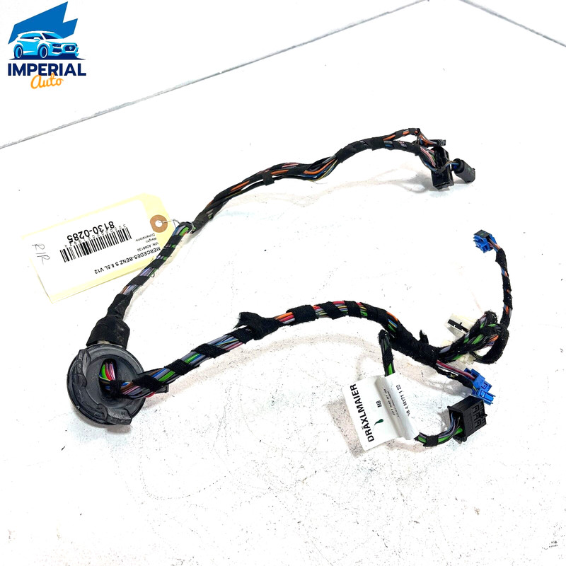 2007-2013 MERCEDES S600 REAR RIGHT PASSENGER SIDE DOOR WIRE WIRING HARNESS OEM