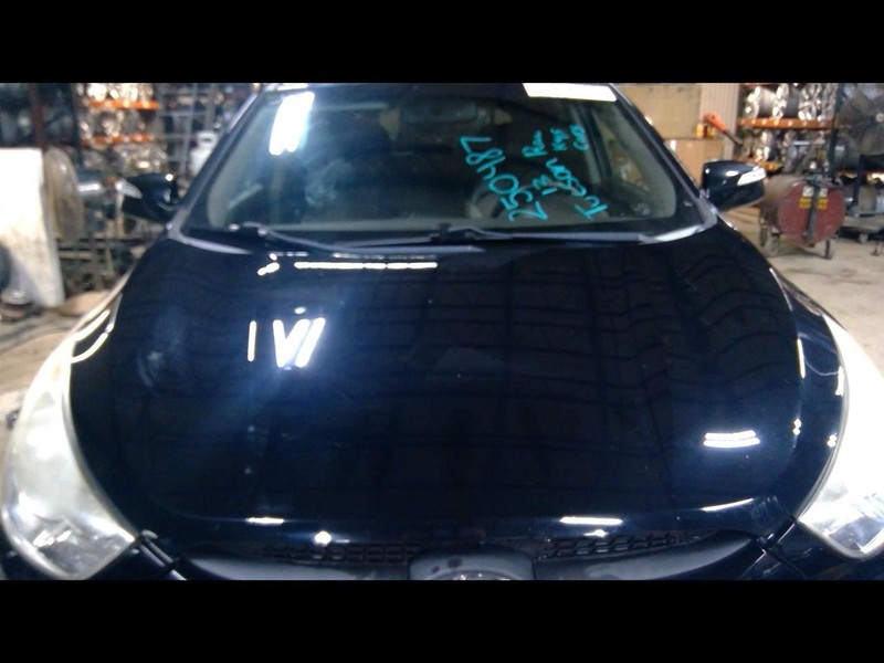 Hood Hydrogen Fcv Fits 10-17 TUCSON 1703092