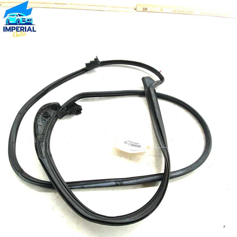 Toyota Camry 18-23 Rear Left Driver Side Door Surround Weatherstrip Seal OEM