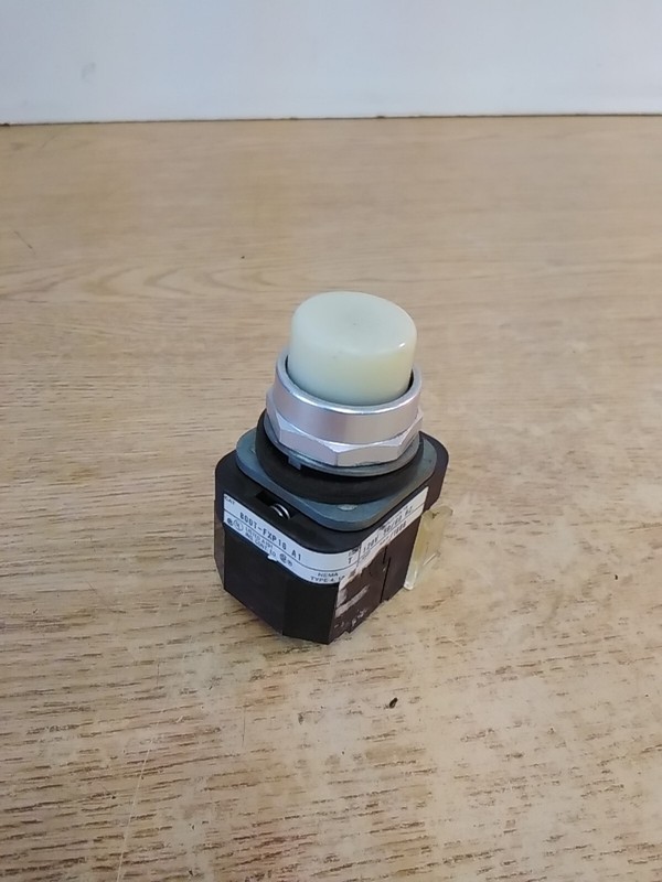 Allen-Bradley 800T-FXP16 A1 White Pushbutton Series T